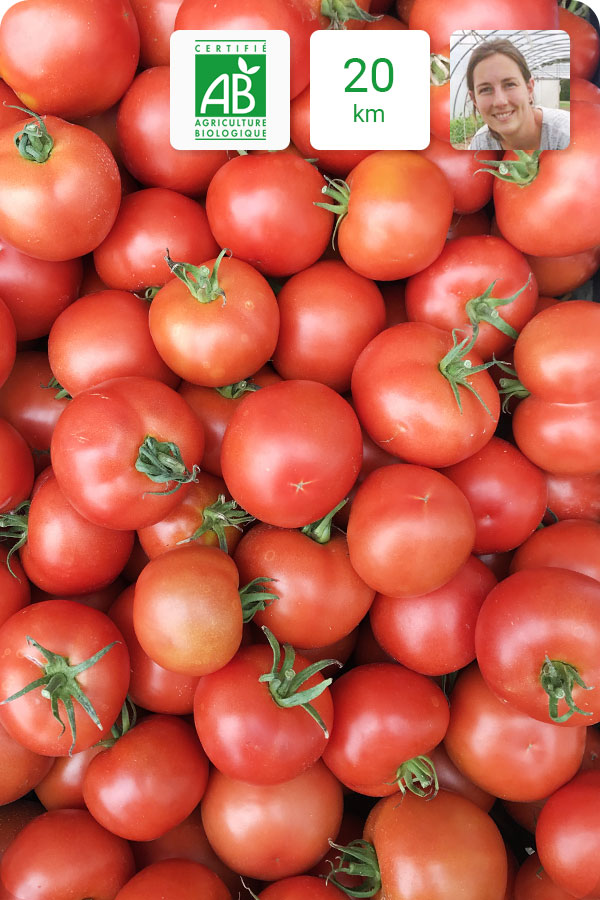 tomate ronde bio
