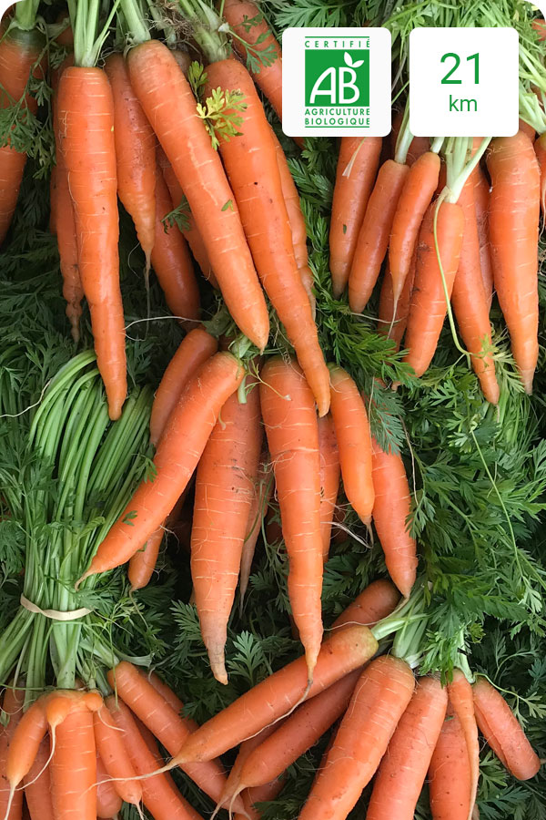 botte-carotte-bio