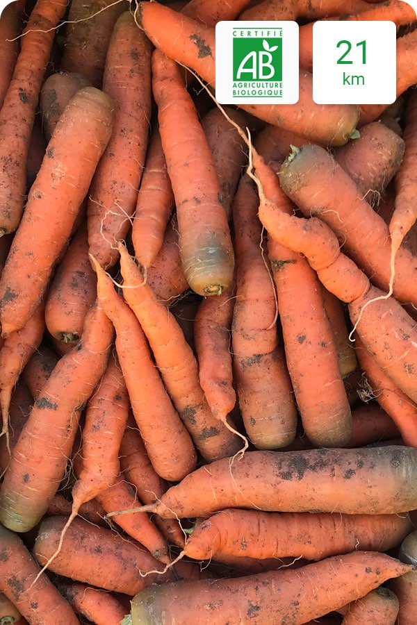 carotte-bio