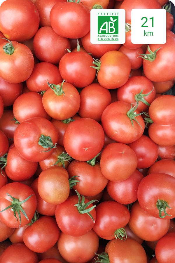 tomate-ronde-bio