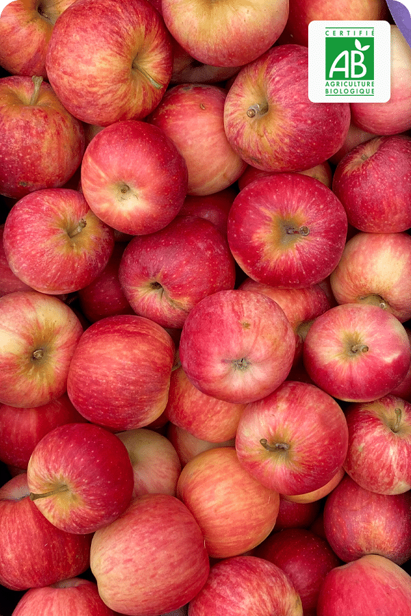 pomme-gala-bio