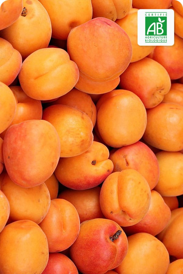 abricot bio