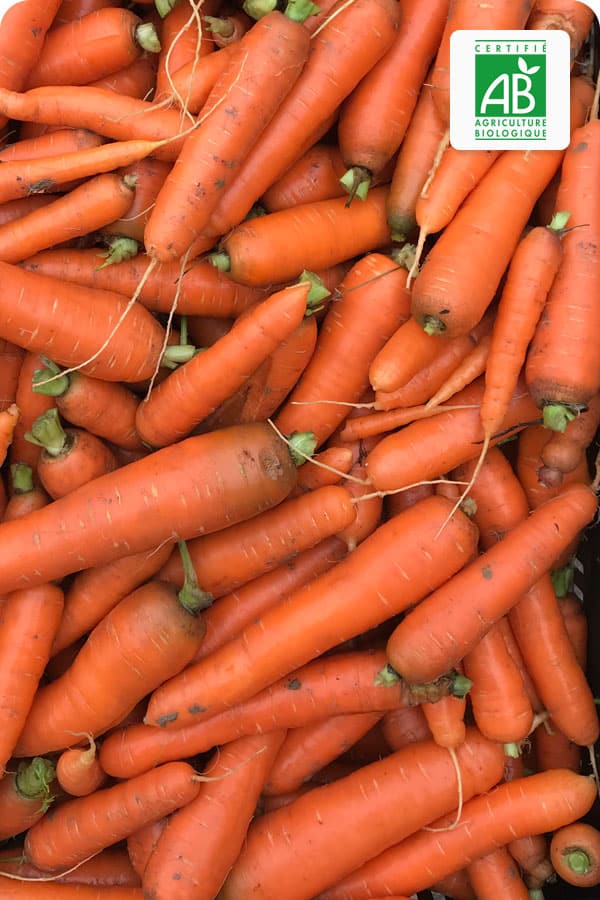 carotte-bio