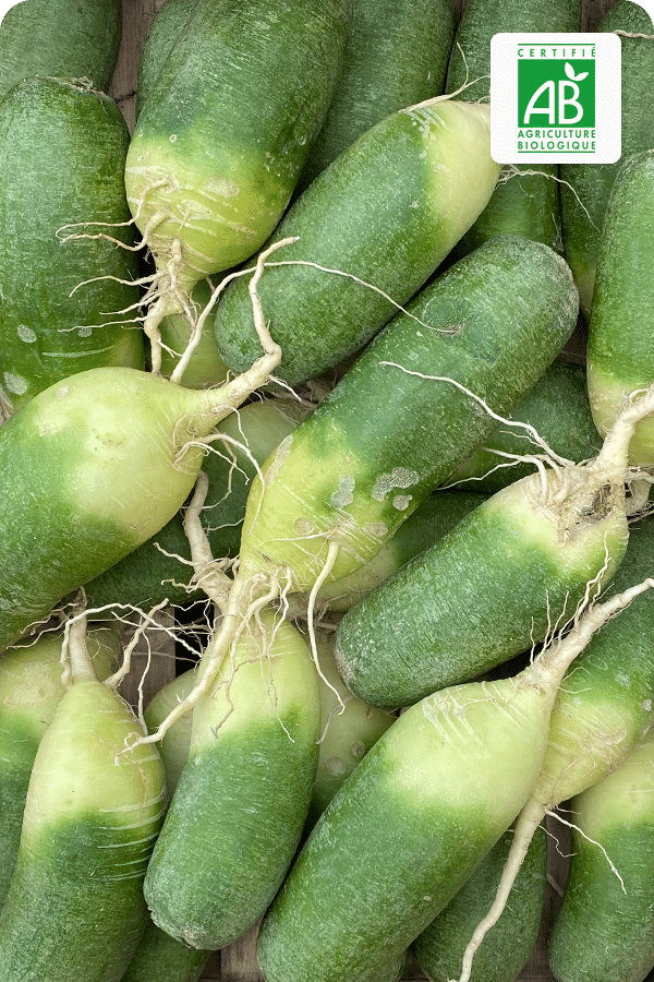 radis-green-meat-bio