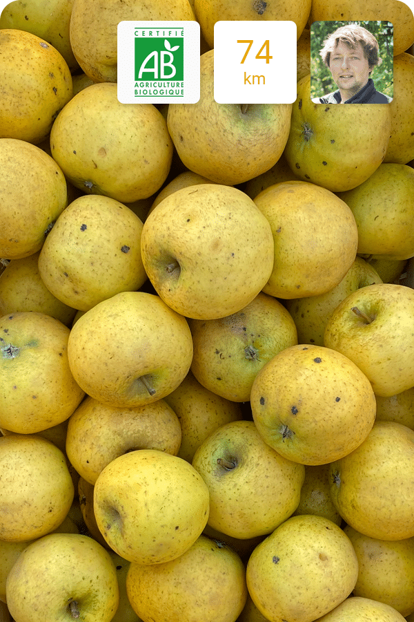 pomme-chantecler-bio